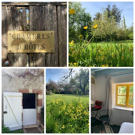Molineuf Chambres D'Hotes Les Renardieres מראה חיצוני תמונה