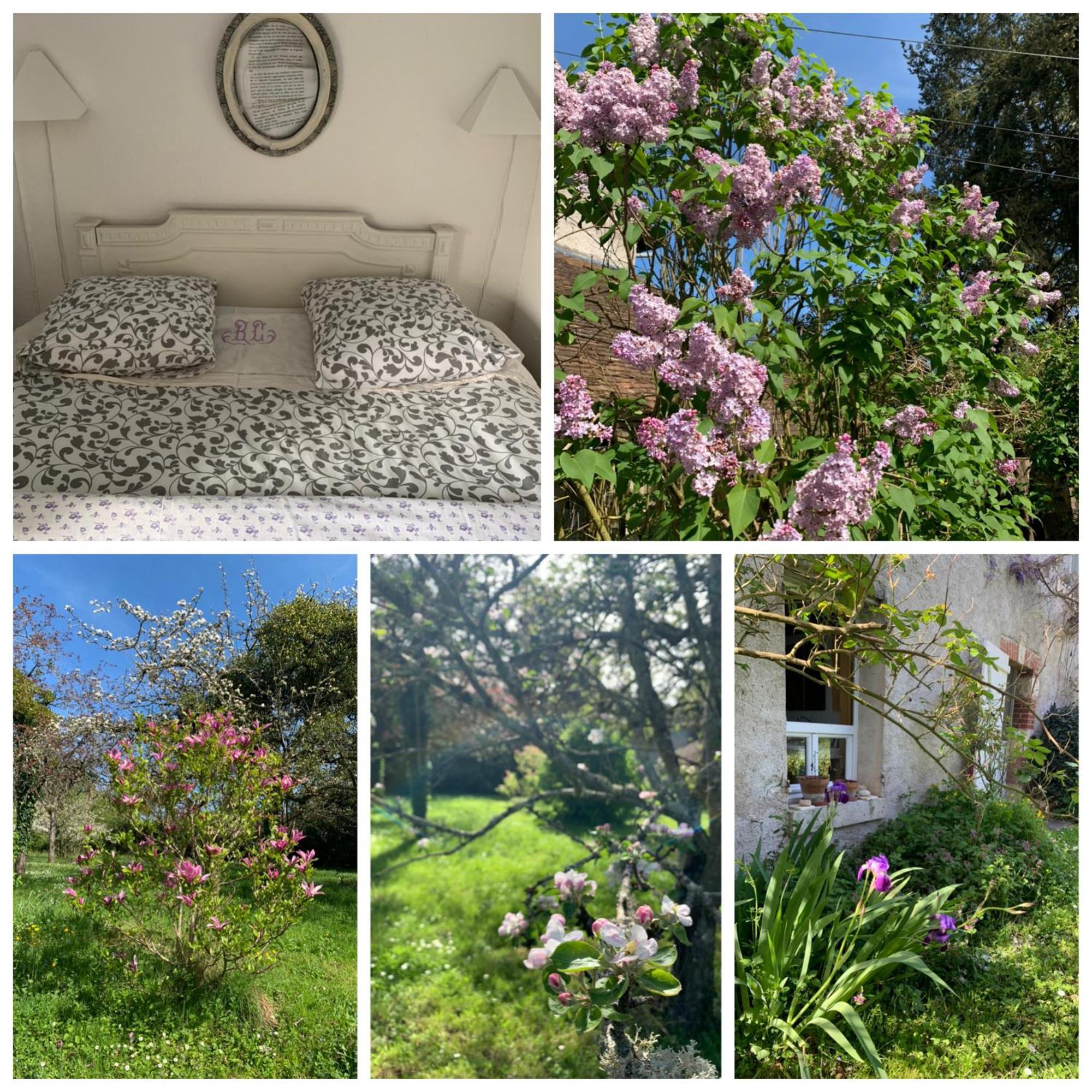 Molineuf Chambres D'Hotes Les Renardieres מראה חיצוני תמונה