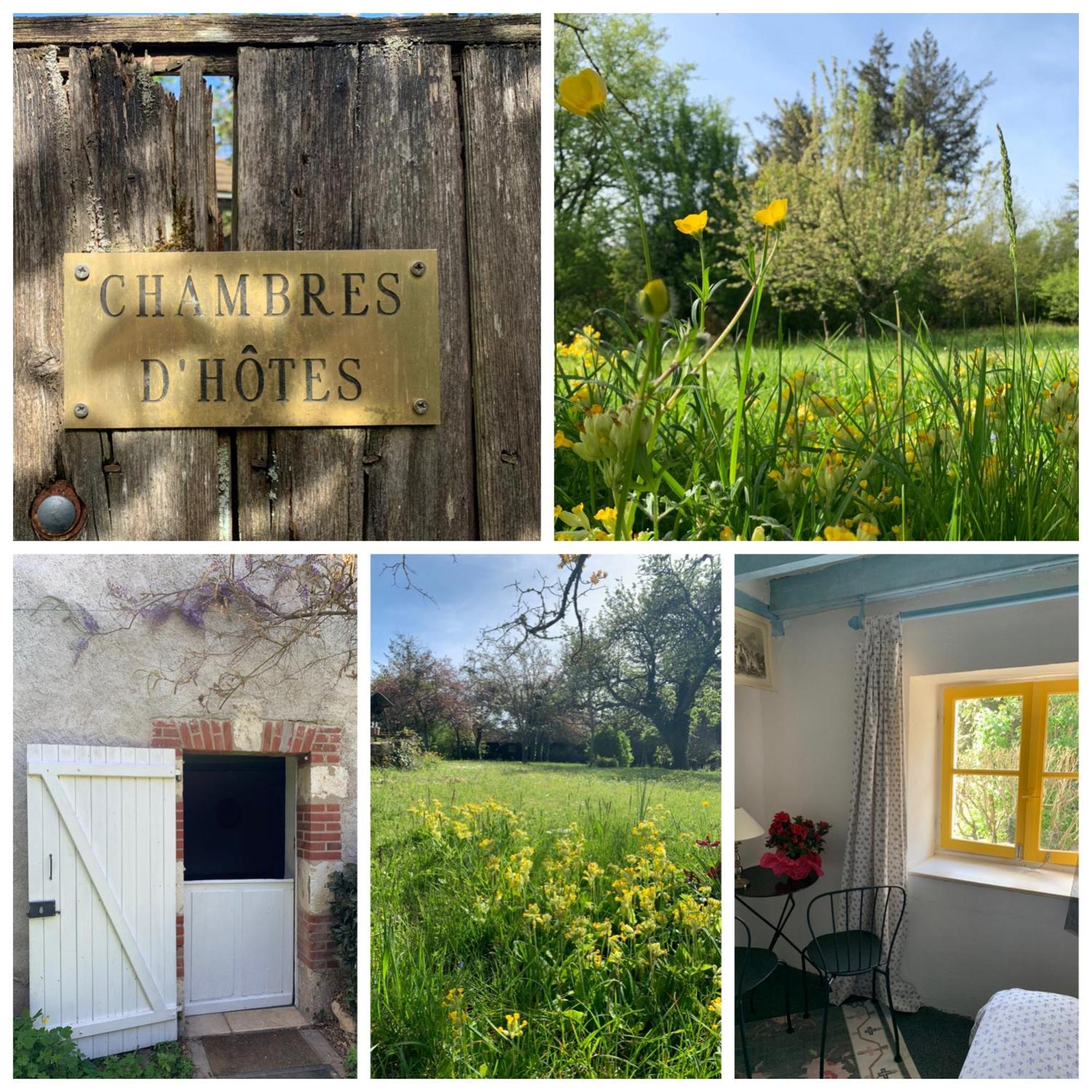 Molineuf Chambres D'Hotes Les Renardieres מראה חיצוני תמונה